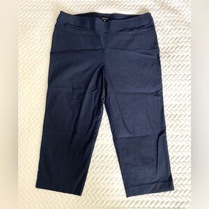 Stitch Fix Violet & Roses Harrietta Mid Rise Skinny Pant  16W